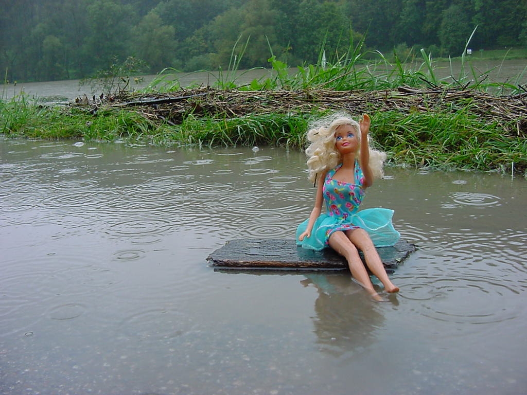 Eine Barbie Puppe auf einem Flo&szlig;, dass auf einem See treibt